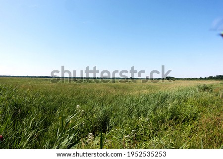 Nemunas Delta Regional Park. The meadows and reeds in Rusne island. Lithuania Minor, or Prussian Lithuania ethnographic region of Lithuania. June 2020, Lithuania.