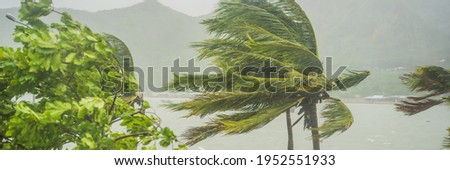 Tropical storm, heavy rain and high winds in tropical climates BANNER, LONG FORMAT Royalty-Free Stock Photo #1952551933