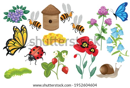 Summer flowers insects icons set. Vector illustration. For kids.