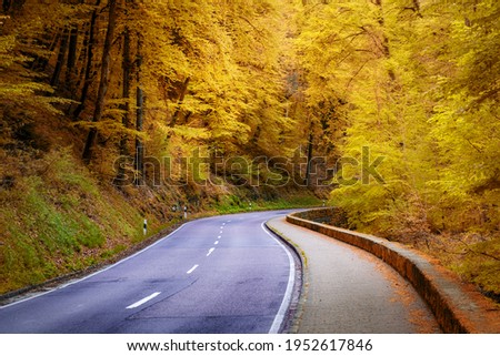 Country road in Luxembourg with autumn foliage