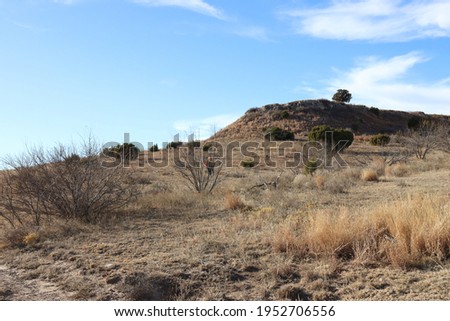 Shot of the Texas desert with a beautiful blue sky 