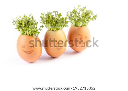 egg shells with faces drawn on, Easter eggs, Growing Cress in Egg Shells, eggheads, Eggheads With Cress hair