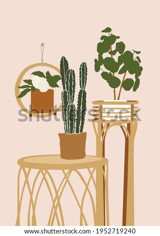 Cacti and flowerpots on the pink isolated background.