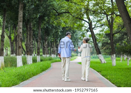 Happy old couple walking in the park Rear view