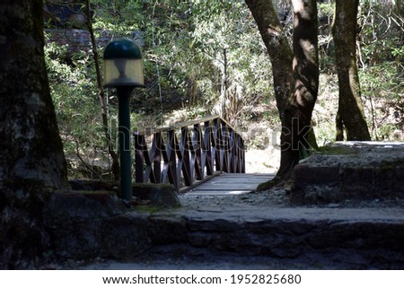 Close up picture of Old wooden bridge at jungle. Selective focus