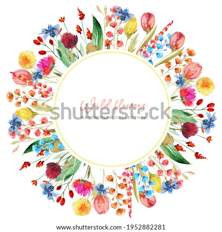 Round frame of watercolor cornflowers, dandelion, clover and other wildflowers, isolated illustration on white background