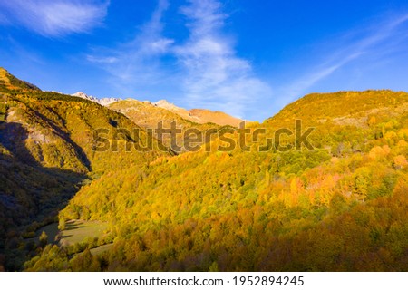 Landscape in Racha Georgia, autumn forest