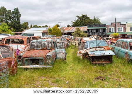 Antique cars on a big scrapyard at the end of Old Coach Road Trail, North Island of New Zealand Royalty-Free Stock Photo #1952920909