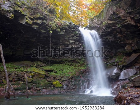 Autumn leaves Senga waterfall Japan