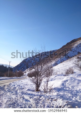 Photo from the phone in Butakovka in winter.
