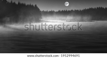 lake in night time with full moon, moon in forest, lake in forest, beautiful landscape