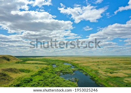 perspective of the river and close-up of a lush green field