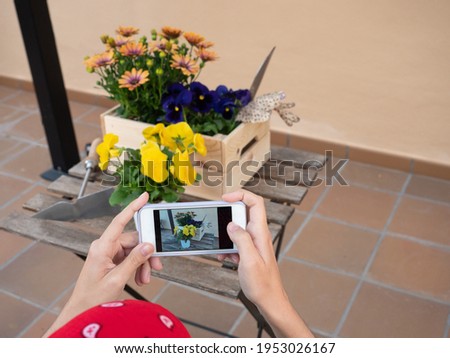 Young woman gardening at home taking photo with mobil to flowers on the table
