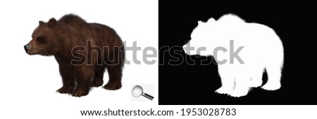 Isolated brown bear with clipping path and alpha channel on a transparent image background. Image is easy to use and suitable for all types of artwork and printing. 3d rendering, 3d illustration.