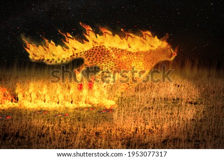 flame cheetah in the night