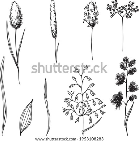cereals set graphics on a white background