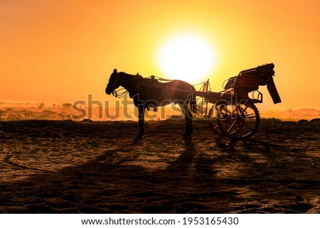 The horse cart..
beutiful view of sunrise from Egypt. Royalty-Free Stock Photo #1953165430