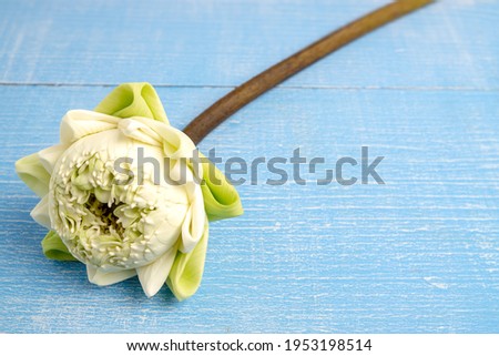 Fresh White Lotus Flower folded in Thai style on wooden table. Copy space