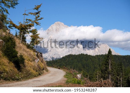 Italy. Veneto. Zoppe di Cadore. Small road that starts from Zoppe di Cadore. The photo shows forests and mountains (mount Antelao).