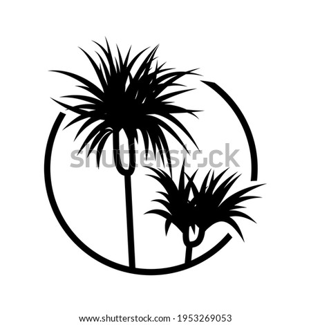 A plant in the circle, palm, dracena, potted plant, leaves in the circle, plant breeding, circle icon.