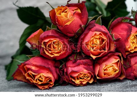 Close up of bouquet of red roses, with yellow accents
