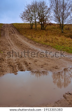 A muddy puddle and a dirt road at a moor. Picture from Revingehed, Scania county, Sweden