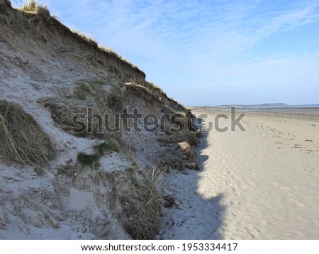 Sand dunes on Seapoint beach in Termonfeckin, County Louth, Ireland.   Royalty-Free Stock Photo #1953334417
