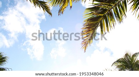 Background photo of palm tree, sunny sky with clouds