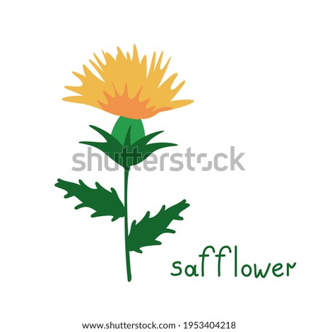 Safflower isolated simple vector plant Royalty-Free Stock Photo #1953404218