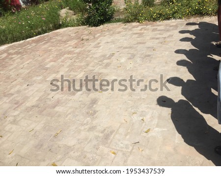 Shadow Of A Boys Standing  In A Row