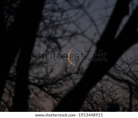 A picture of moon rising behind the trees at dawn . The trees are intentionally blurred to focus on moon.
