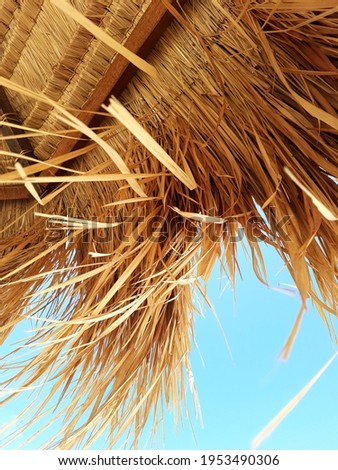 brown color of thatched coconut fiber