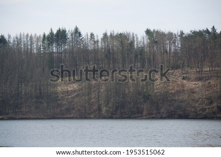 Catastrophic forest in the Czech republic. Wood with bark bettles. Picture was taken taken 2021. Bohemian highland.