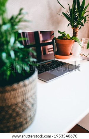 Black screen laptop workstation in home or office with green tropical plants on white desk and gray concrete wall