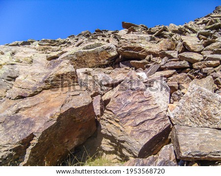 A closeup picture of rocks . Can be used as natural background.