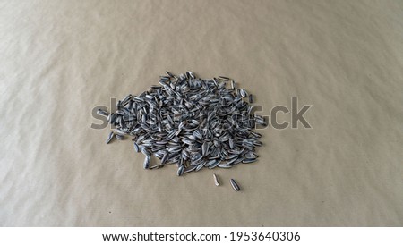 sunflower seeds on a pile in front of the camera