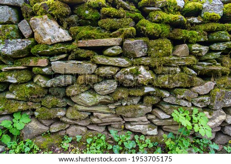 Ancient wall made of stone with moss and wild flowers. Madrid Spain.