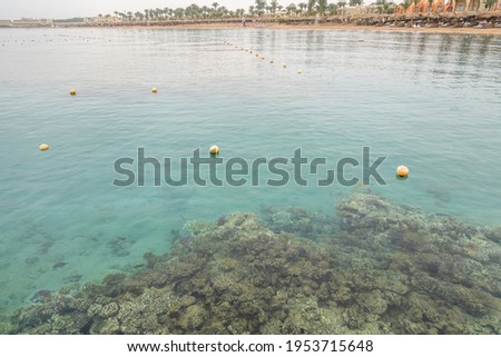 Beautiful sea with coral fishes
