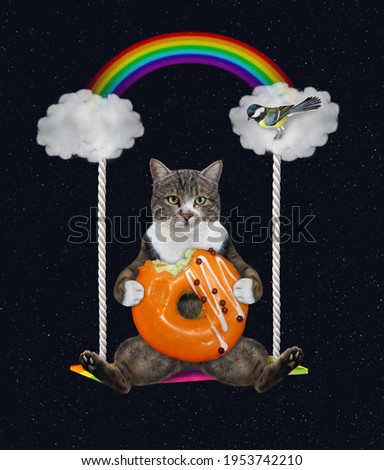 A colored cat with an orange donut sits on a cloudy swing under a rainbow at night.