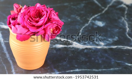 Rose flower vase insolated in dark background