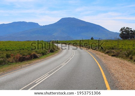 A picture of a road curving to the left with lush bushes on either side.