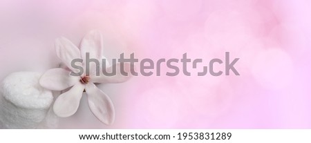 beautiful pink magnolia flower, smooth white stones, white towel rolled up, concept of wellness spa treatments for the beauty of mind and body, massage, serenity, banner, panorama