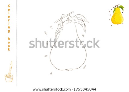 Coloring book pear with example. Template for printing. Vector illustration.