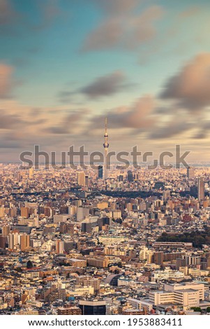 Aerial long exposure photography of the city of Tokyo with the skytree tower in the center at sunset.