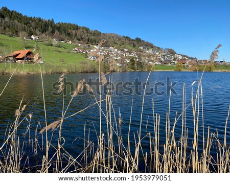 Late winter and early spring on the beautiful small lake Egolzwilersee or Lake Egolzwiler, Egolzwil - Canton of Lucerne, Switzerland (Schweiz)