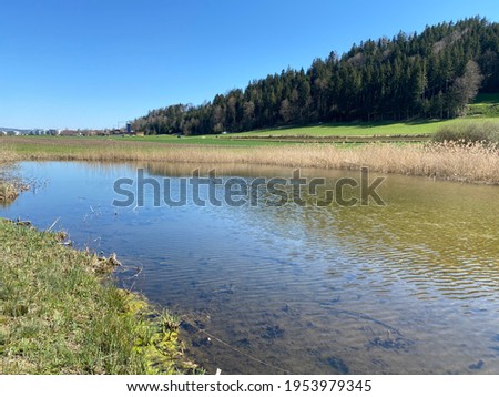 Natural protection area Hagimoos (Naturschutzgebiet Hagimoos) with swampy lowland pastures and meadows, Kottwil - Canton of Lucerne, Switzerland (Schweiz)