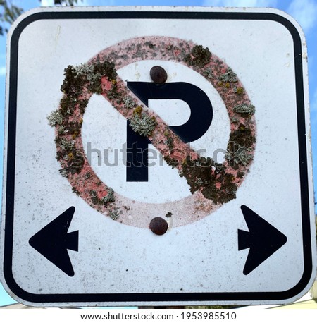 Remarkable “NO PARKING” sign, looks like it has been decorated.