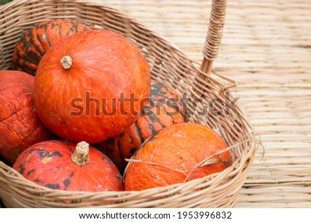 Pumpkins piled upon each other for sale, stock photo