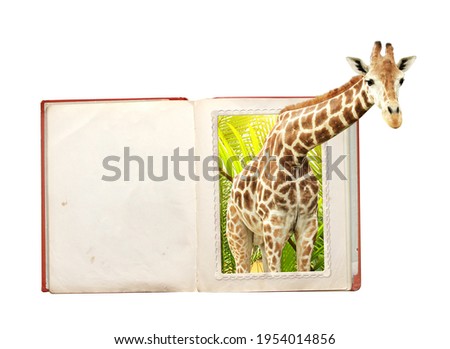 Giraffe in photo with 3d effect on open book. Stereoscopic effect. Isolated on white background. Mock up template. Copy space for text