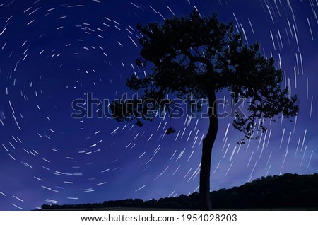 Star trails behind a alone tree in fields. Photo by long exposure.